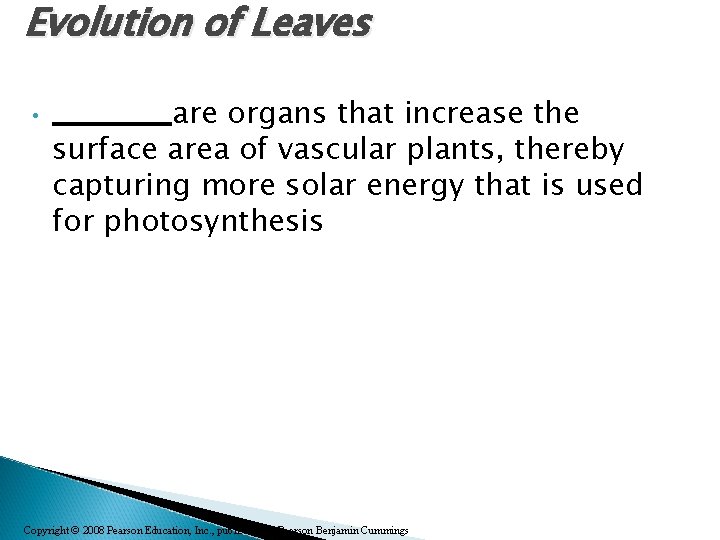 Evolution of Leaves • ____are organs that increase the surface area of vascular plants,