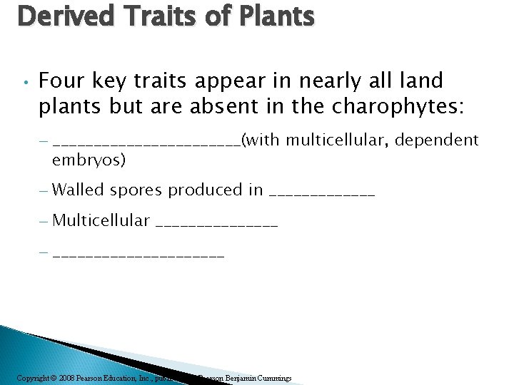 Derived Traits of Plants • Four key traits appear in nearly all land plants