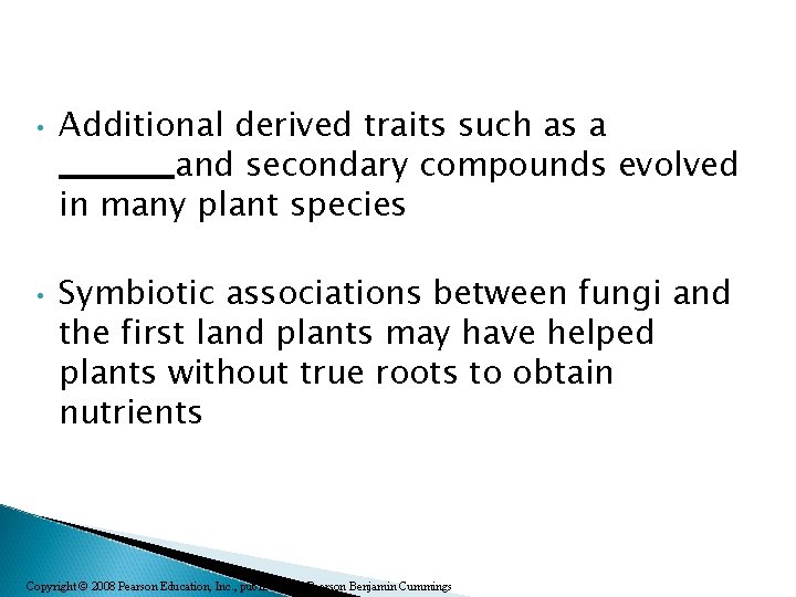  • • Additional derived traits such as a _______and secondary compounds evolved in