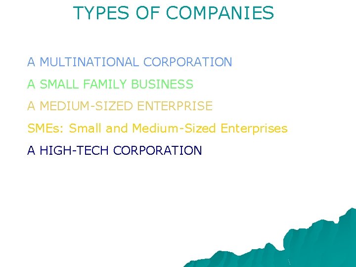 TYPES OF COMPANIES A MULTINATIONAL CORPORATION A SMALL FAMILY BUSINESS A MEDIUM-SIZED ENTERPRISE SMEs: