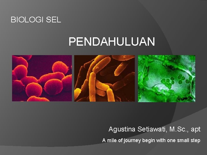 BIOLOGI SEL PENDAHULUAN Agustina Setiawati, M. Sc. , apt A mile of journey begin