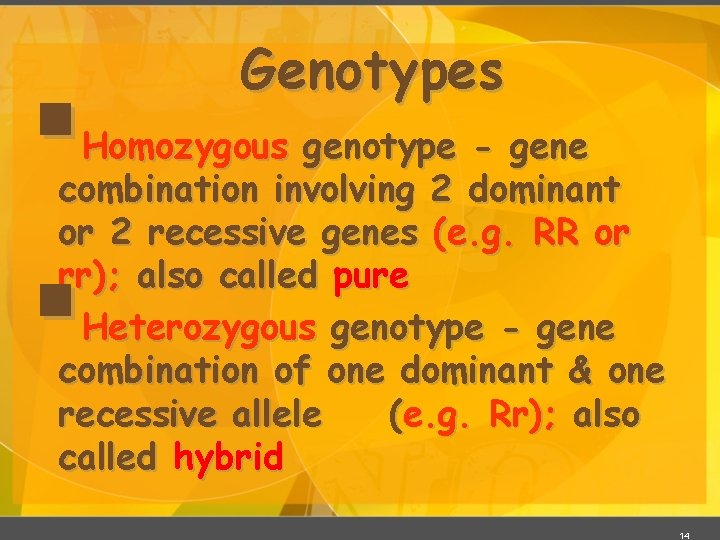 § Genotypes Homozygous genotype - gene combination involving 2 dominant or 2 recessive genes