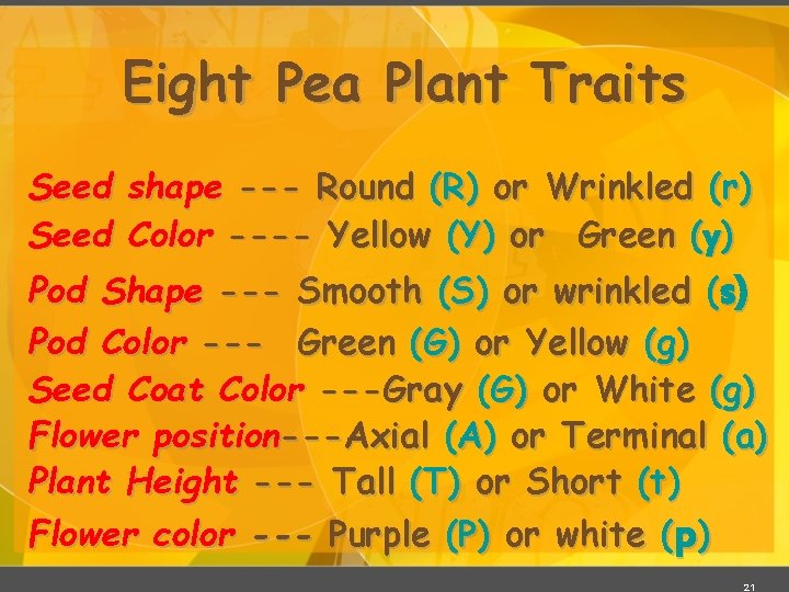 Eight Pea Plant Traits Seed shape --- Round (R) or Wrinkled (r) Seed Color