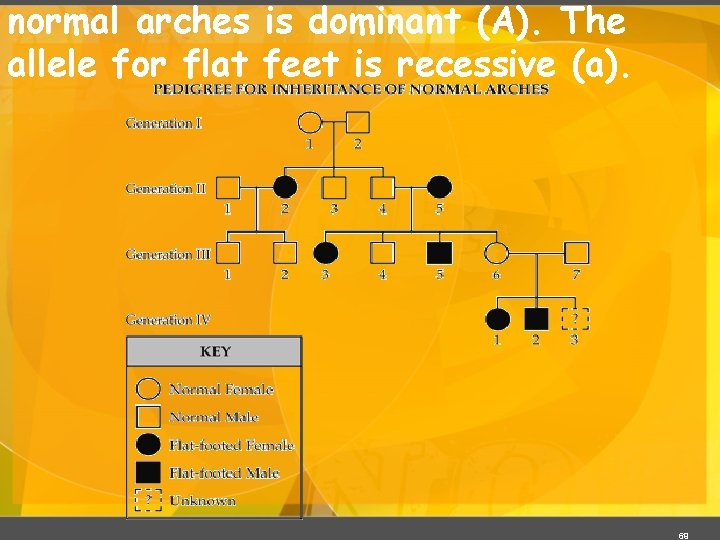 normal arches is dominant (A). The allele for flat feet is recessive (a). 69