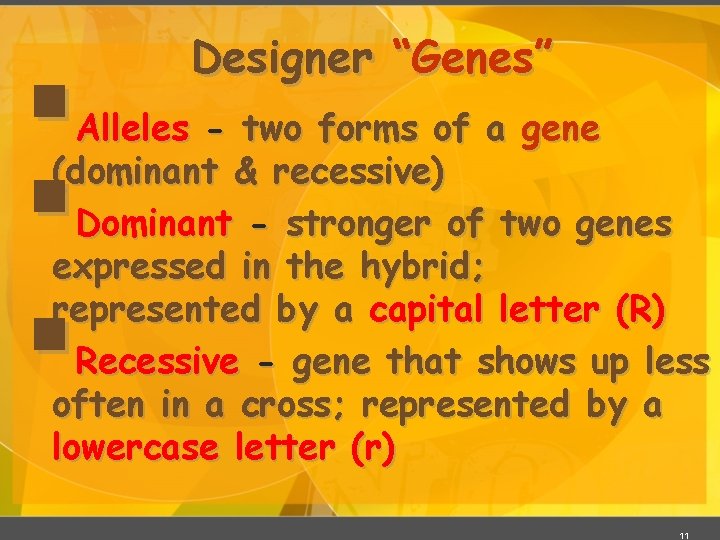 § § § Designer “Genes” Alleles - two forms of a gene (dominant & § § § Designer “Genes” Alleles - two forms of a gene (dominant &