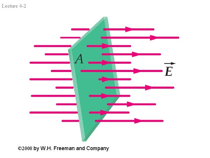 Lecture 4 -2 © 2008 by W. H. Freeman and Company 