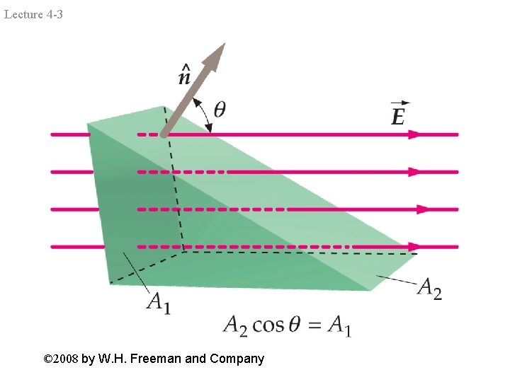 Lecture 4 -3 © 2008 by W. H. Freeman and Company 