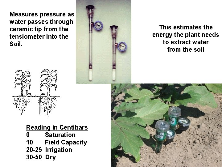 Measures pressure as water passes through ceramic tip from the tensiometer into the Soil.