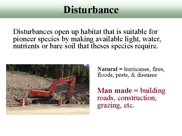 Disturbances open up habitat that is suitable for pioneer species by making available light,