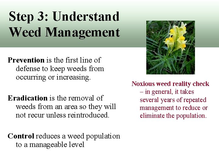 Step 3: Understand Weed Management Prevention is the first line of defense to keep