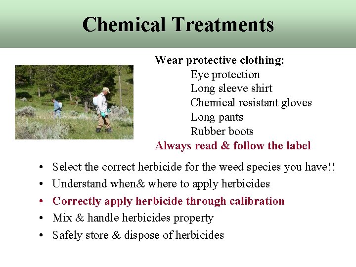 Chemical Treatments Wear protective clothing: Eye protection Long sleeve shirt Chemical resistant gloves Long