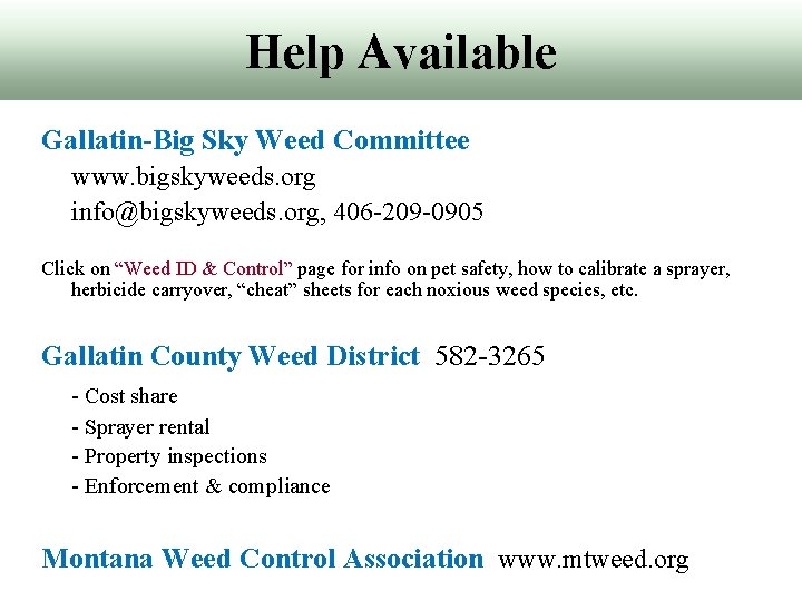 Help Available Gallatin-Big Sky Weed Committee www. bigskyweeds. org info@bigskyweeds. org, 406 -209 -0905