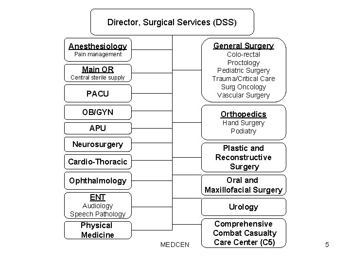 Director, Surgical Services (DSS) Anesthesiology General Surgery Pain management PACU Colo-rectal Proctology Pediatric Surgery