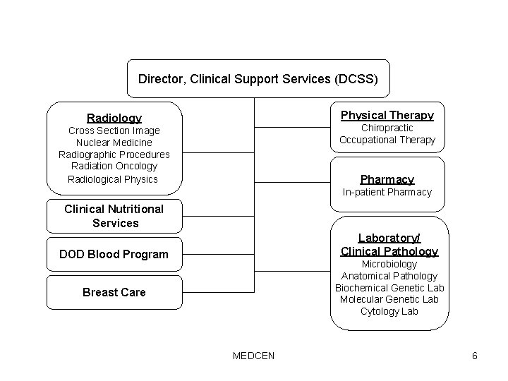 Director, Clinical Support Services (DCSS) Physical Therapy Radiology Chiropractic Occupational Therapy Cross Section Image