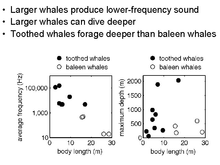  • Larger whales produce lower-frequency sound • Larger whales can dive deeper •