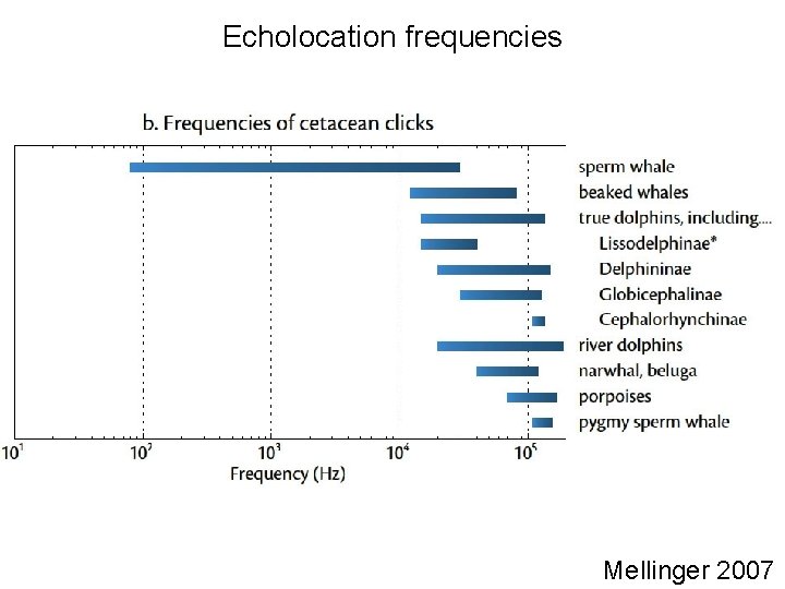 Echolocation frequencies Mellinger 2007 
