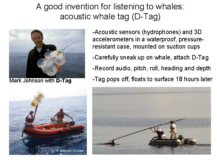 A good invention for listening to whales: acoustic whale tag (D-Tag) -Acoustic sensors (hydrophones)