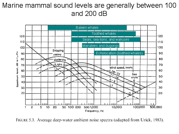 Marine mammal sound levels are generally between 100 and 200 d. B Baleen whales