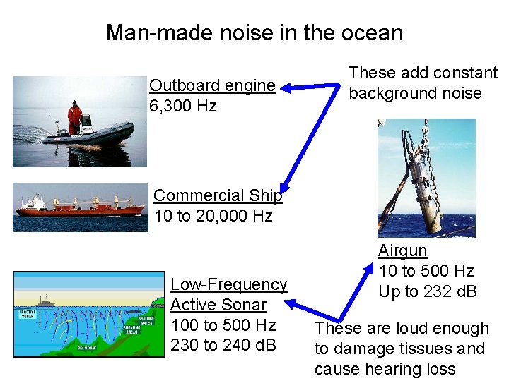 Man-made noise in the ocean Outboard engine 6, 300 Hz These add constant background