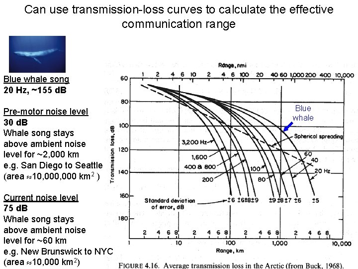 Can use transmission-loss curves to calculate the effective communication range Blue whale song 20