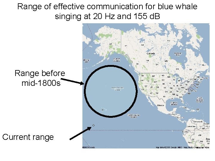 Range of effective communication for blue whale singing at 20 Hz and 155 d.