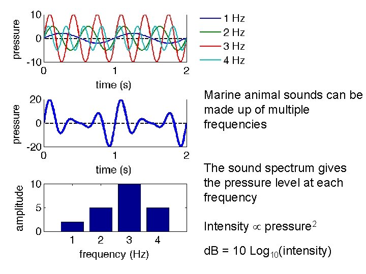 Marine animal sounds can be made up of multiple frequencies The sound spectrum gives