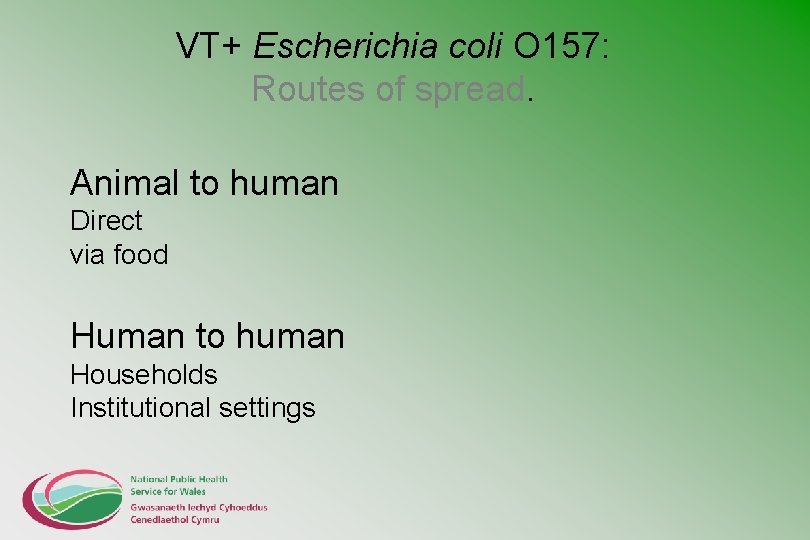 VT+ Escherichia coli O 157: Routes of spread. Animal to human Direct via food