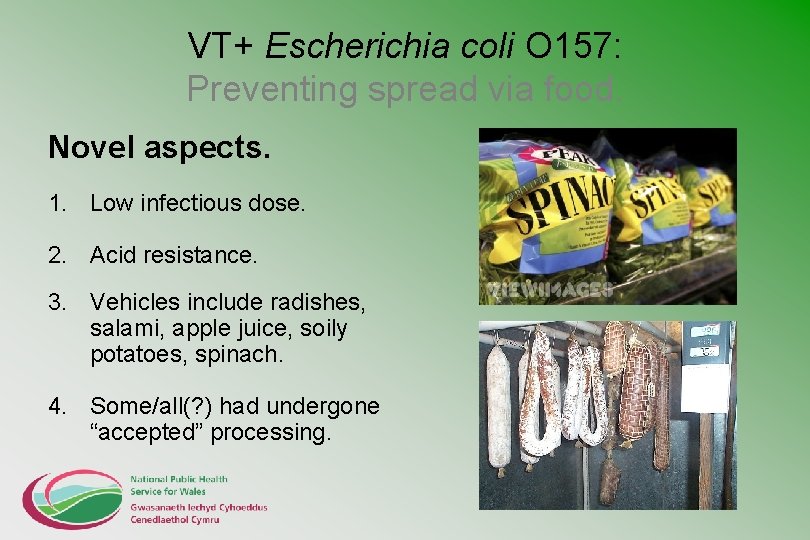 VT+ Escherichia coli O 157: Preventing spread via food. Novel aspects. 1. Low infectious