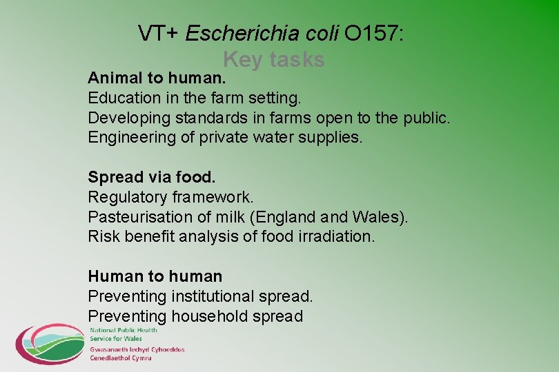 VT+ Escherichia coli O 157: Key tasks Animal to human. Education in the farm