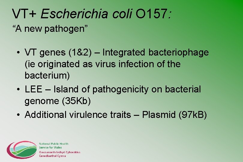 VT+ Escherichia coli O 157: “A new pathogen” • VT genes (1&2) – Integrated