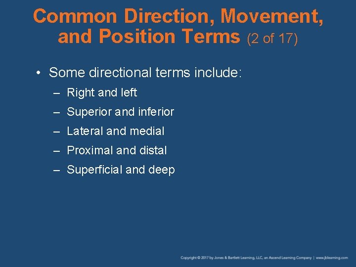 Common Direction, Movement, and Position Terms (2 of 17) • Some directional terms include: