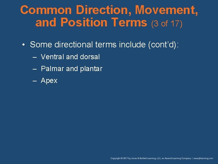Common Direction, Movement, and Position Terms (3 of 17) • Some directional terms include