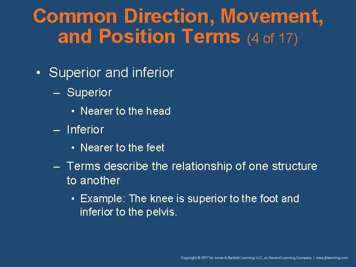 Common Direction, Movement, and Position Terms (4 of 17) • Superior and inferior –
