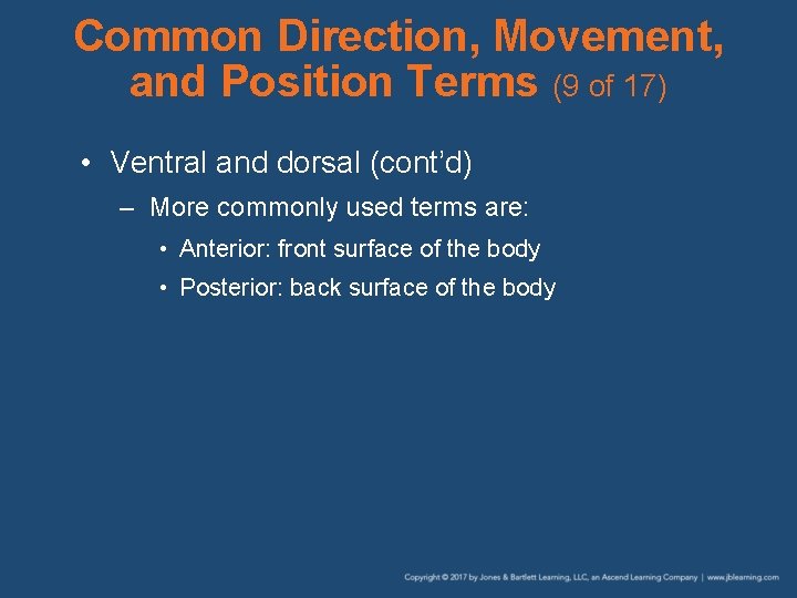Common Direction, Movement, and Position Terms (9 of 17) • Ventral and dorsal (cont’d)