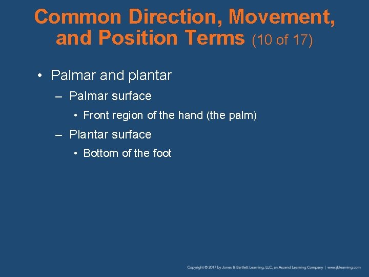 Common Direction, Movement, and Position Terms (10 of 17) • Palmar and plantar –