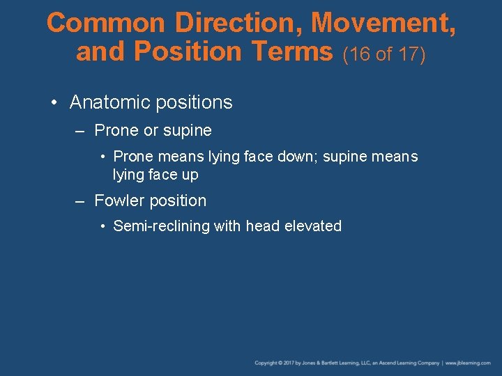 Common Direction, Movement, and Position Terms (16 of 17) • Anatomic positions – Prone