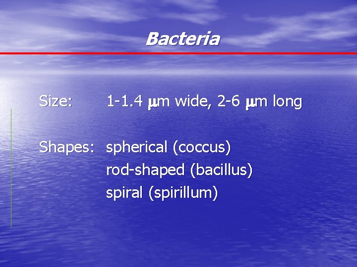 Bacteria Size: 1 -1. 4 m wide, 2 -6 m long Shapes: spherical (coccus)
