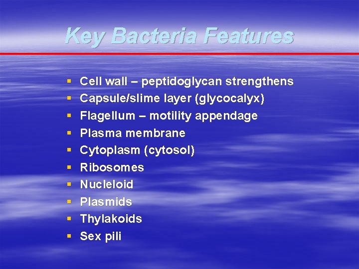 Key Bacteria Features § § § § § Cell wall – peptidoglycan strengthens Capsule/slime