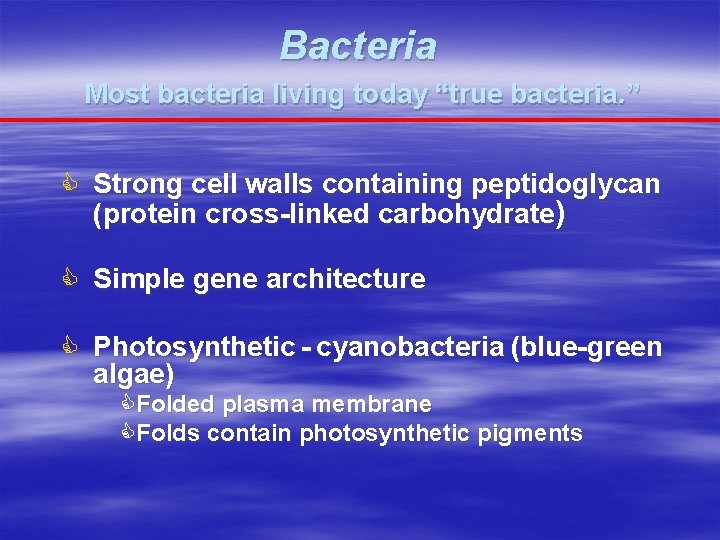 Bacteria Most bacteria living today “true bacteria. ” C Strong cell walls containing peptidoglycan