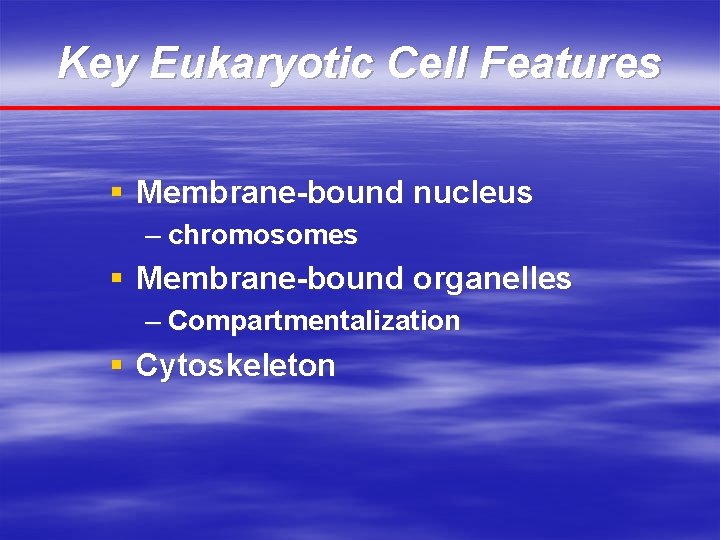 Key Eukaryotic Cell Features § Membrane-bound nucleus – chromosomes § Membrane-bound organelles – Compartmentalization