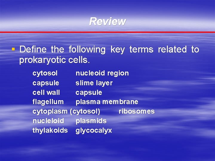 Review § Define the following key terms related to prokaryotic cells. cytosol nucleoid region