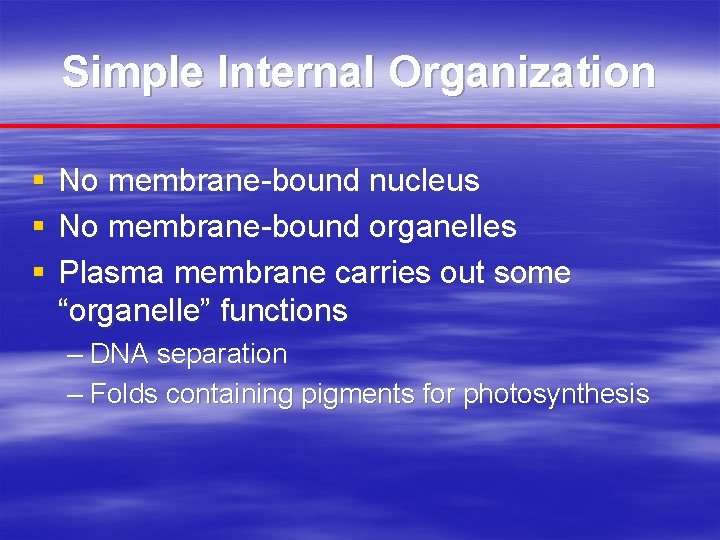 Simple Internal Organization § § § No membrane-bound nucleus No membrane-bound organelles Plasma membrane
