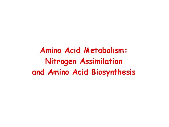 Amino Acid Metabolism: Nitrogen Assimilation and Amino Acid Biosynthesis 