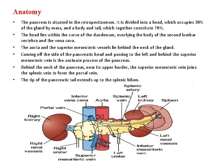 Anatomy • • • The pancreas is situated in the retroperitoneum. It is divided Anatomy • • • The pancreas is situated in the retroperitoneum. It is divided