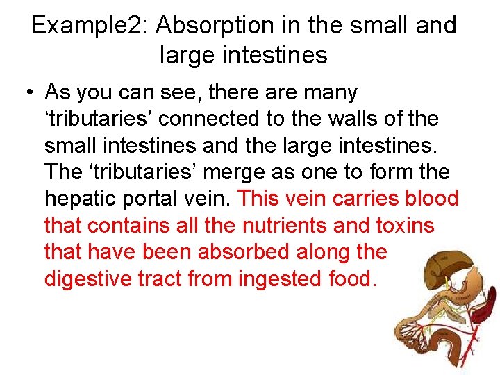 Example 2: Absorption in the small and large intestines • As you can see,