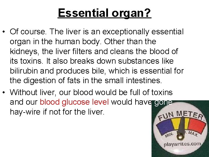 Essential organ? • Of course. The liver is an exceptionally essential organ in the