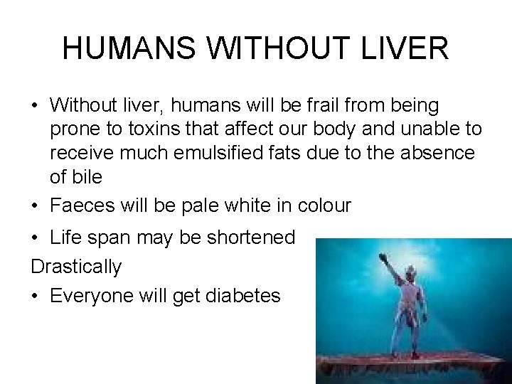 HUMANS WITHOUT LIVER • Without liver, humans will be frail from being prone to