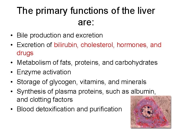 The primary functions of the liver are: • Bile production and excretion • Excretion