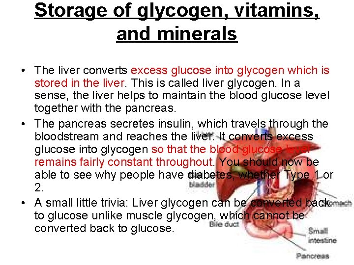 Storage of glycogen, vitamins, and minerals • The liver converts excess glucose into glycogen