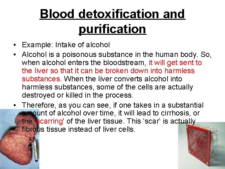 Blood detoxification and purification • Example: Intake of alcohol • Alcohol is a poisonous